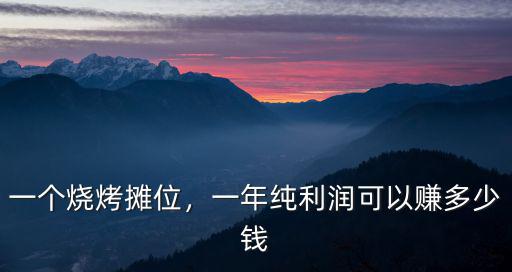 濟南燒烤一年能掙多少錢,一個燒烤攤位