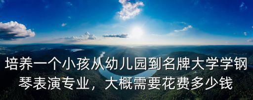 培養一個小孩從幼兒園到名牌大學學鋼琴表演專業，大概需要花費多少錢