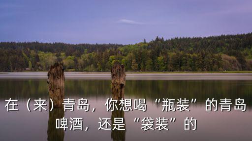 青島桶裝鮮啤酒多少錢,為什么青島的啤酒都用袋裝