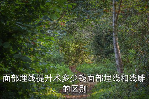 蘇州面部提升術多少錢,面部埋線提升術多少錢