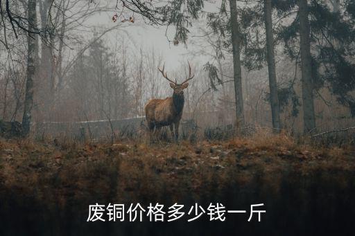 廢銅價(jià)格多少錢一斤