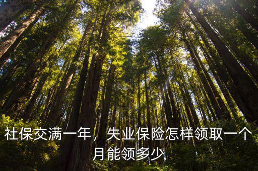 濟寧失業保險一個月領多少,失業保險怎樣領取