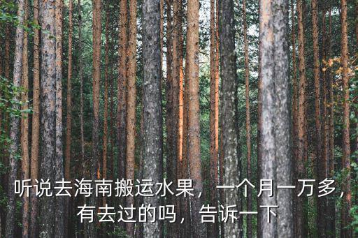 珠海搞搬運(yùn)一個(gè)月多少錢,貨拉拉司機(jī)一個(gè)月能賺多少錢