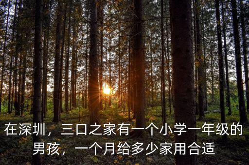 深圳一家三口一天生活費多少,在北京一家三口