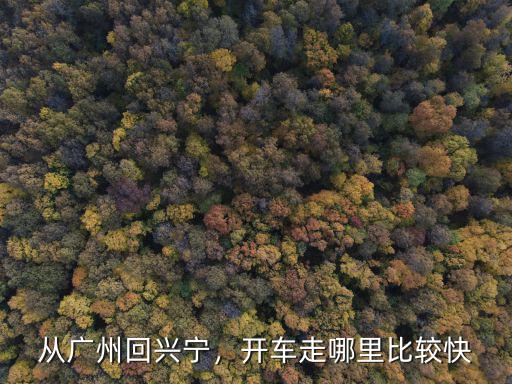 興寧回廣州開車怎么快,從廣州回興寧