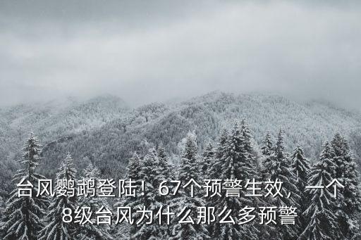 臺風鸚鵡廣東惠州有多少級,臺風鸚鵡登陸廣東陽江
