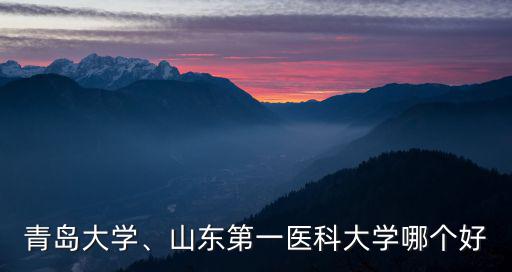 青島大學、山東第一醫科大學哪個好
