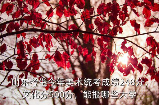美術(shù)生考濟(jì)南大學(xué)多少分,能報(bào)哪些大學(xué)