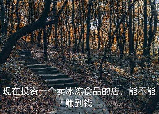 現在投資一個賣冰凍食品的店，能不能賺到錢