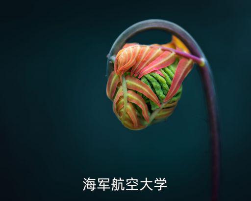 珠海海軍航空大學怎么樣,海軍航空大學怎么樣