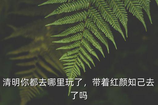深圳南山區清明節祭拜去哪里,清明你都去哪里玩了
