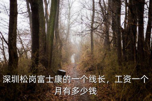 深圳松崗富士康的一個(gè)線長(zhǎng)，工資一個(gè)月有多少錢