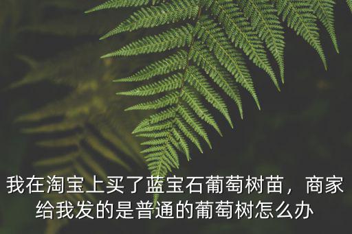 我在淘寶上買了藍(lán)寶石葡萄樹苗，商家給我發(fā)的是普通的葡萄樹怎么辦