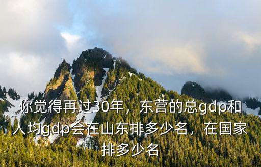 東營經(jīng)濟(jì)在全省多少名次,在國家排多少名