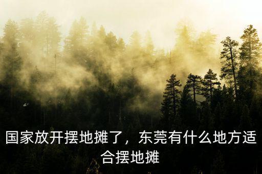 國(guó)家放開(kāi)擺地?cái)偭耍瑬|莞有什么地方適合擺地?cái)? class=