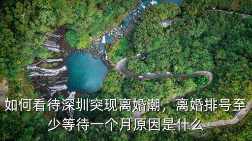 深圳離婚排號一般是多少,離婚排號至少等待一個月