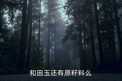 和田玉還有原籽料么