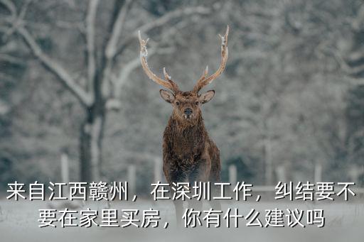 江西人在深圳哪里買房,湖北人在深圳上班