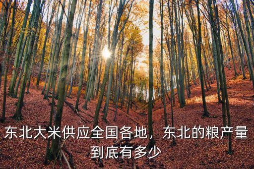 東北大米供應(yīng)全國各地，東北的糧產(chǎn)量到底有多少