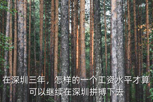 深圳打拼工資怎么算,出來深圳打拼八年了