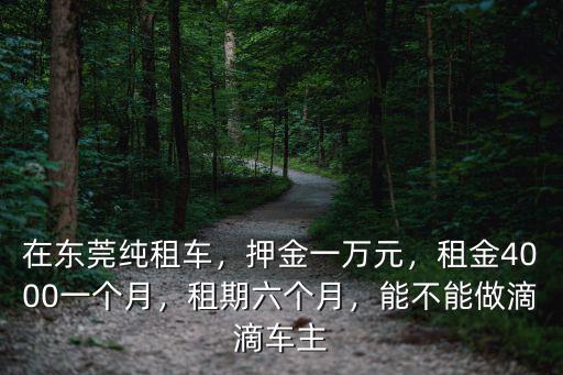在東莞租車多少錢,在東莞純租車