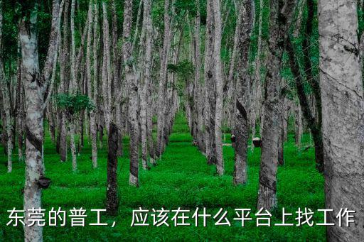 東莞的普工，應(yīng)該在什么平臺上找工作