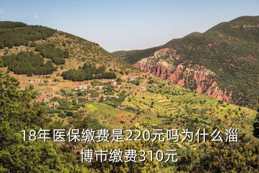 淄博市2019年城鎮(zhèn)醫(yī)保交多少,為什么淄博市繳費310元