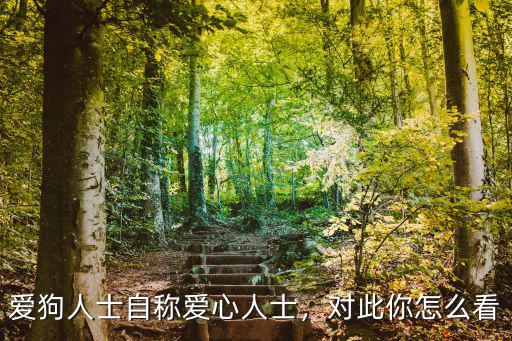 深圳的愛(ài)狗人士協(xié)會(huì)你怎么看,對(duì)此你怎么看