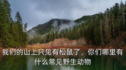 我們的山上只見有松鼠了，你們哪里有什么常見野生動物