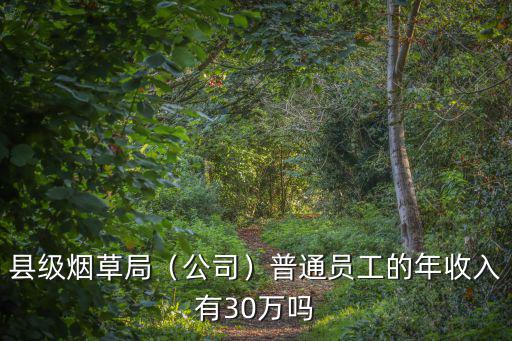 縣級煙草局（公司）普通員工的年收入有30萬嗎