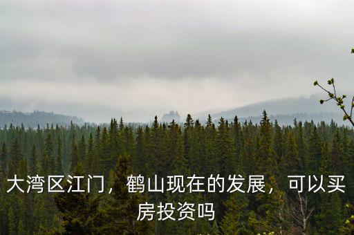 大灣區(qū)江門，鶴山現(xiàn)在的發(fā)展，可以買房投資嗎
