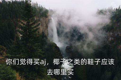 你們覺得買aj，椰子之類的鞋子應(yīng)該去哪里買