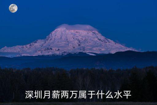 深圳工資2w怎么樣,深圳月工資2萬
