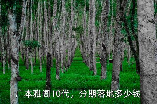 雅閣10代廣州落地多少錢,分期落地多少錢