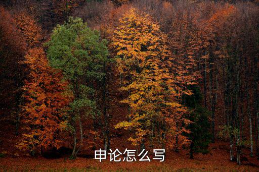 申論怎么寫