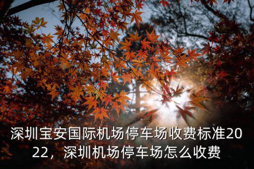 深圳免費停車位怎么找,深圳機場停車場怎么收費