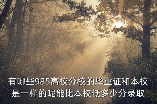 有哪些985高校分校的畢業(yè)證和本校是一樣的呢能比本校低多少分錄取