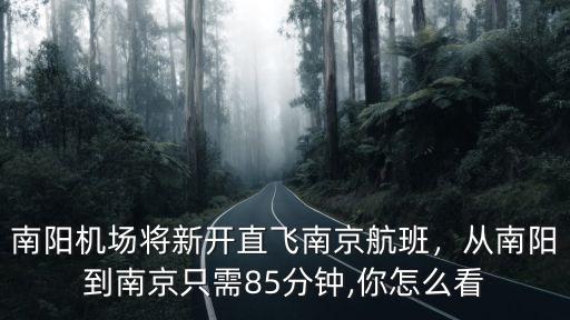 南陽機場將新開直飛南京航班，從南陽到南京只需85分鐘,你怎么看