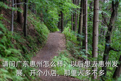 請問廣東惠州怎么樣，以后想去惠州發展，開個小店，那里人多不多