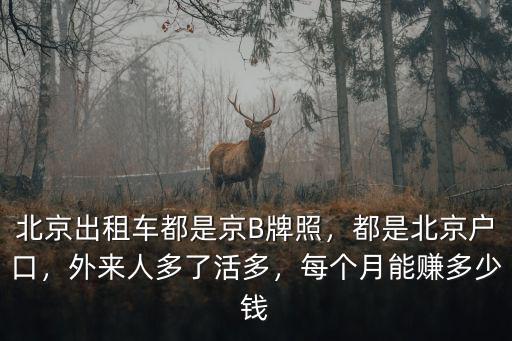 北京出租車都是京B牌照，都是北京戶口，外來人多了活多，每個月能賺多少錢