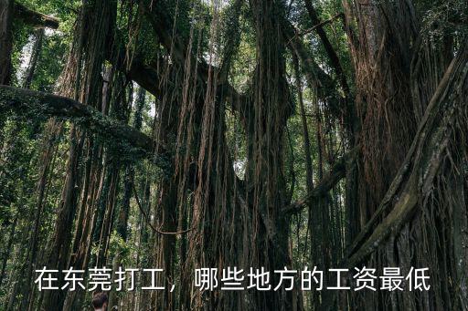 東莞洪梅哪里工資高,東莞哪個地方的工資高一點