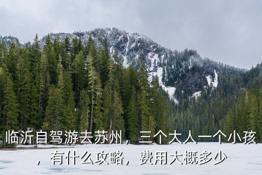 臨沂去蒙城多少錢費用,費用大概多少