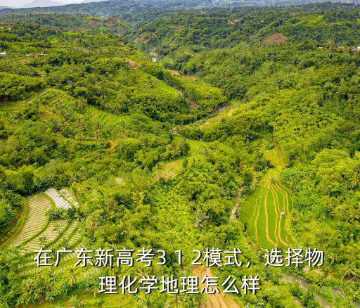 在廣東新高考3 1 2模式，選擇物理化學(xué)地理怎么樣