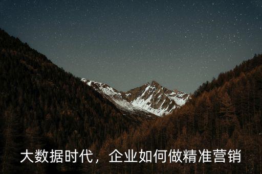 大數據時代，企業如何做精準營銷