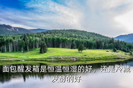 面包醒發箱是恒溫恒濕的好，還是冷藏發酵的好