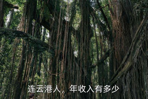 連云港人，年收入有多少