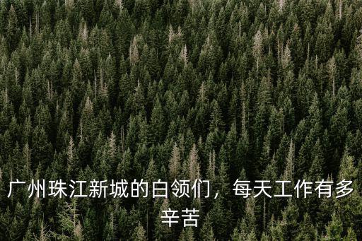 在廣州珠江新城工作怎么樣,廣州珠江新城的白領們