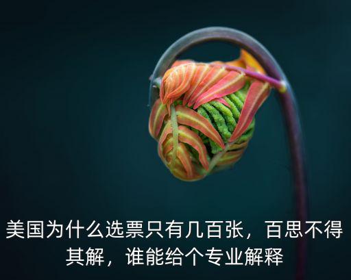 美國為什么選票只有幾百張，百思不得其解，誰能給個專業解釋