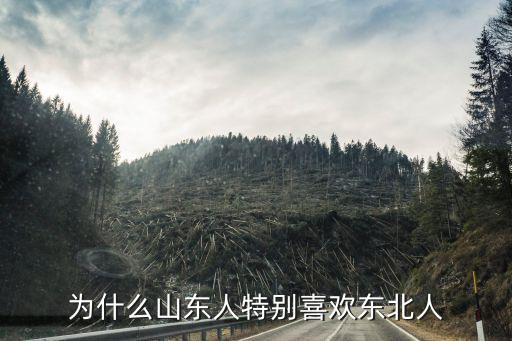 東北有多少濰坊人,我是東北長春人