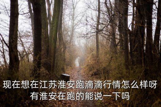 淮安跑滴滴能賺多少錢一個月,一個月能賺多少錢